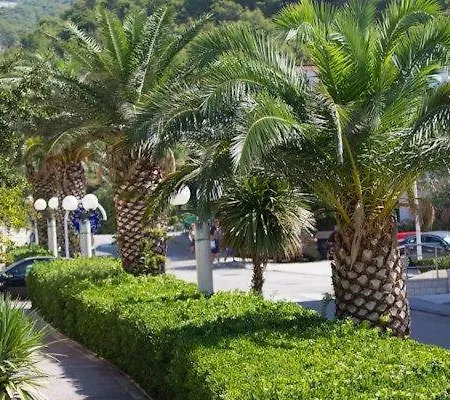Jovic * Makarska
